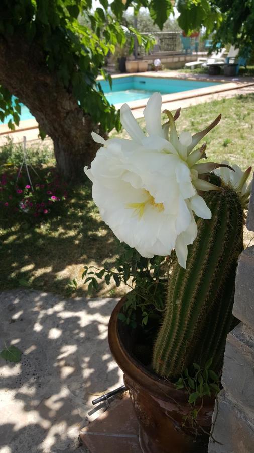 Le Relais Fleuri Otel Alès Dış mekan fotoğraf