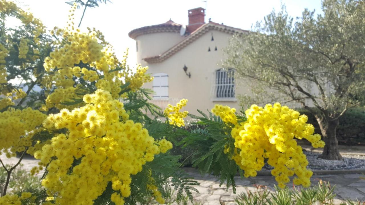 Le Relais Fleuri Otel Alès Dış mekan fotoğraf