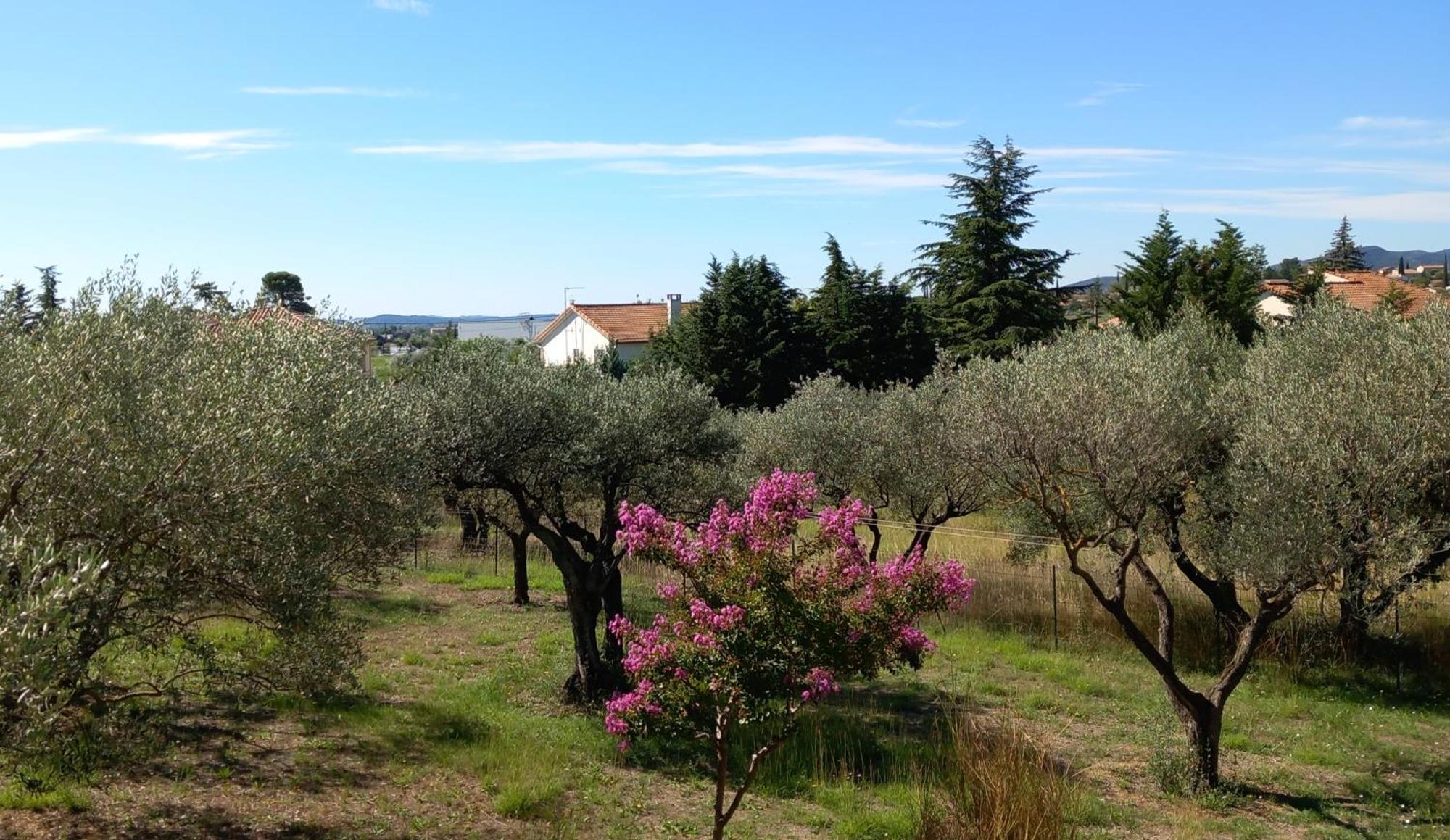 Le Relais Fleuri Otel Alès Dış mekan fotoğraf