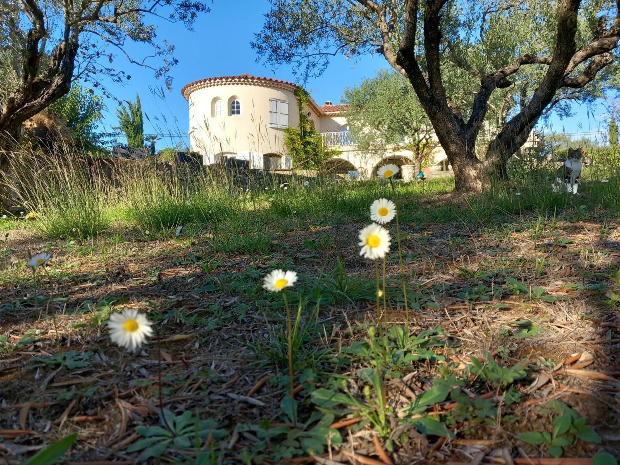 Le Relais Fleuri Otel Alès Dış mekan fotoğraf